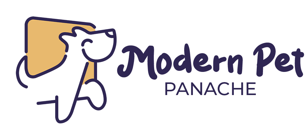 Modern Pet Panache